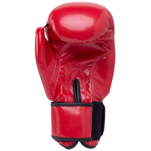 Перчатки боксерские Panther BGP-2098, 12 oz, красный